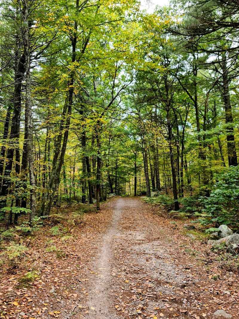 F. Gilbert Hills State Forest 