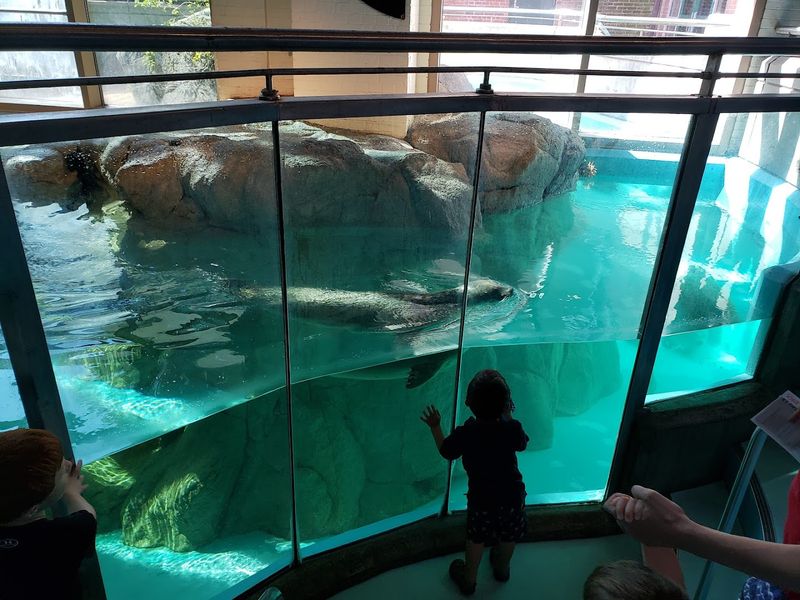 The Maritime Aquarium at Norwalk