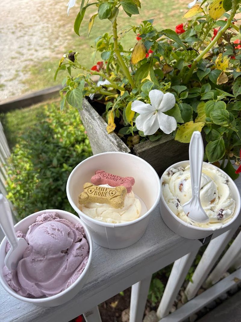 Salem Valley Farms Ice Cream
