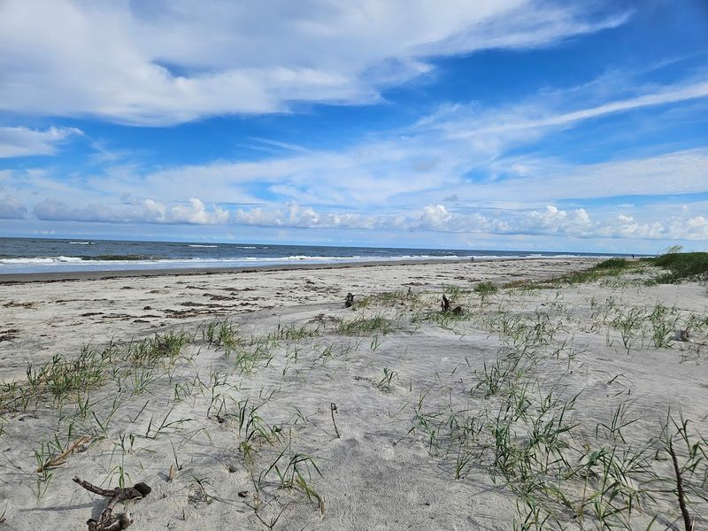 Little St. Simons Island Beach &mdash; Little St. Simons Island, GA