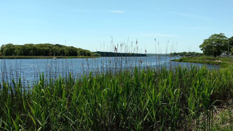 Taunton River Walk - Taunton