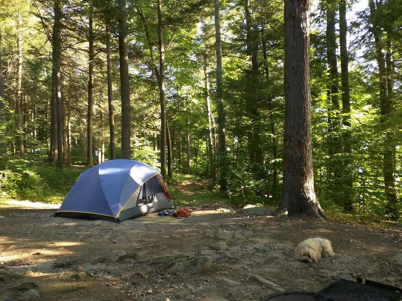Tolland State Forest