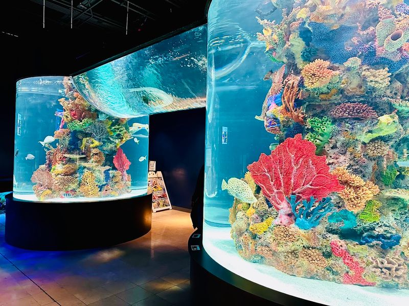 Electric City Aquarium & Reptile Den 