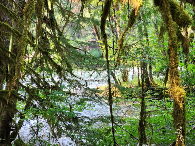 26 Miles of Trail Through Paradise