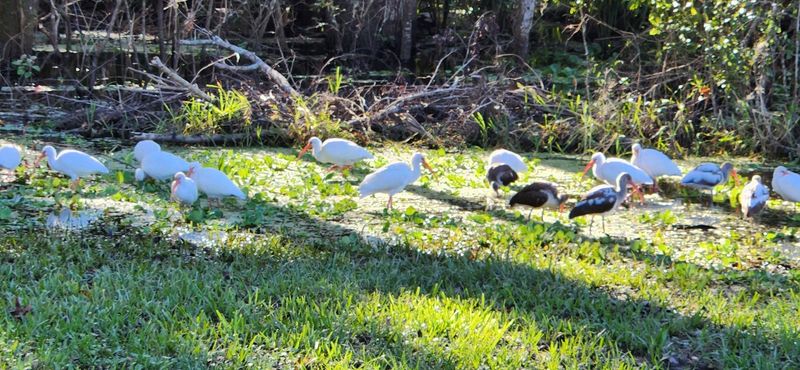 Year-Round Wildlife Encounters