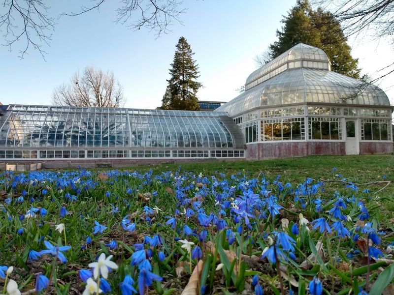 Mount Holyoke College Botanic Garden (South Hadley)