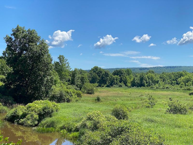 Mount Norwottuck Trail 