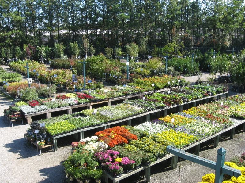 Cofer&rsquo;s Home & Garden Showplace