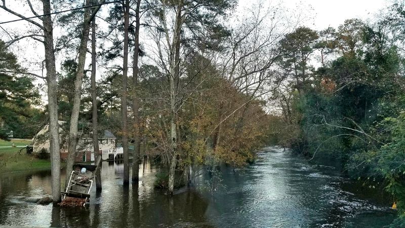 Tar River