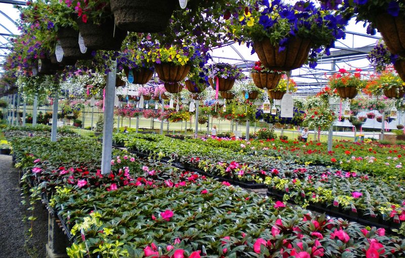 Michael Brothers Nursery