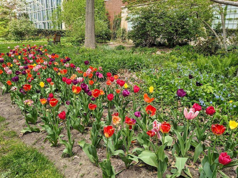 W.J. Beal Botanical Garden (East Lansing)