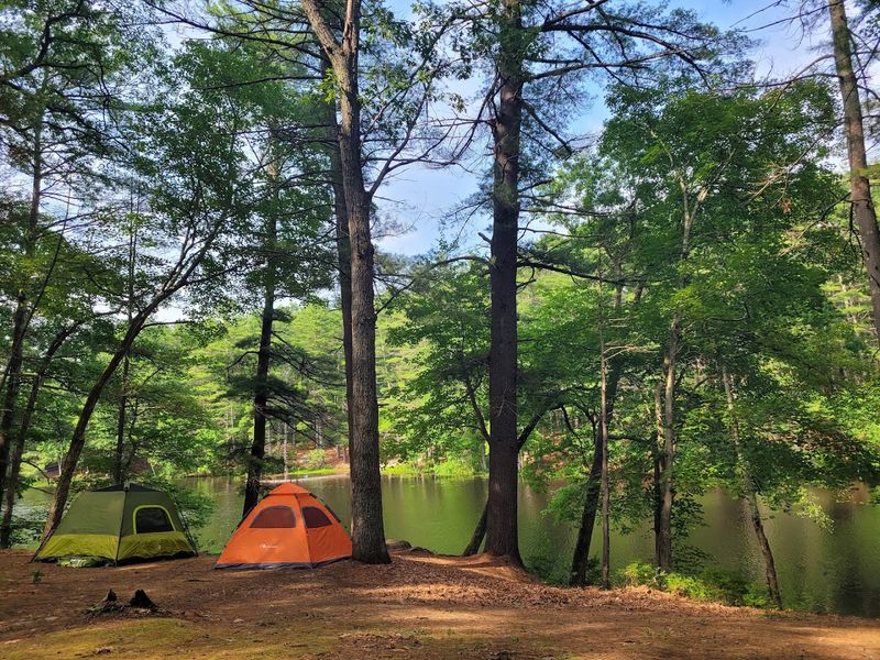 Harold Parker State Forest - North Andover, Essex County