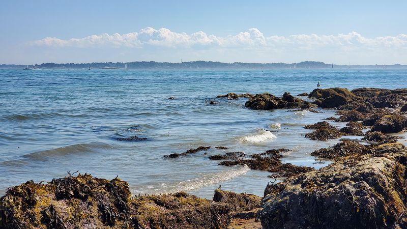 Singing Beach - Manchester, Essex County