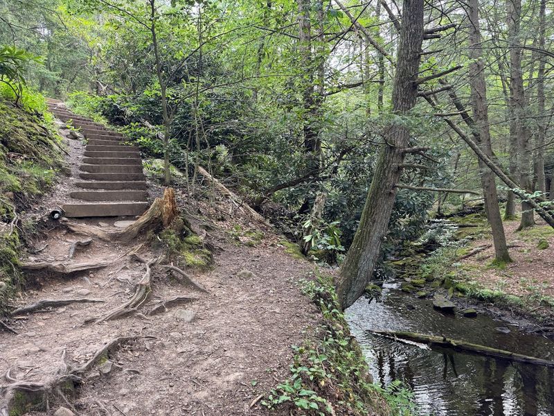 Hickory Run State Park - Shades of Death Trail 