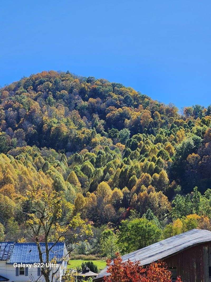 North Carolina Rhododendron Festival &ndash; Bakersville