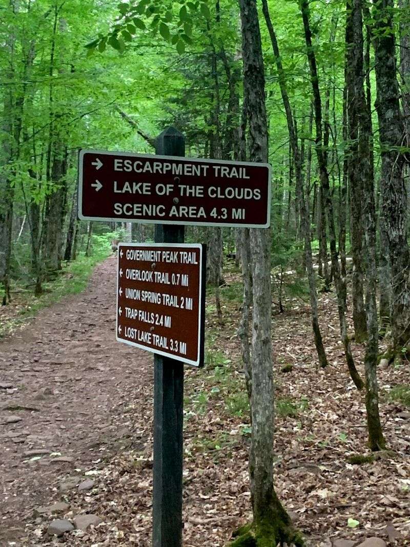 Escarpment Trail
