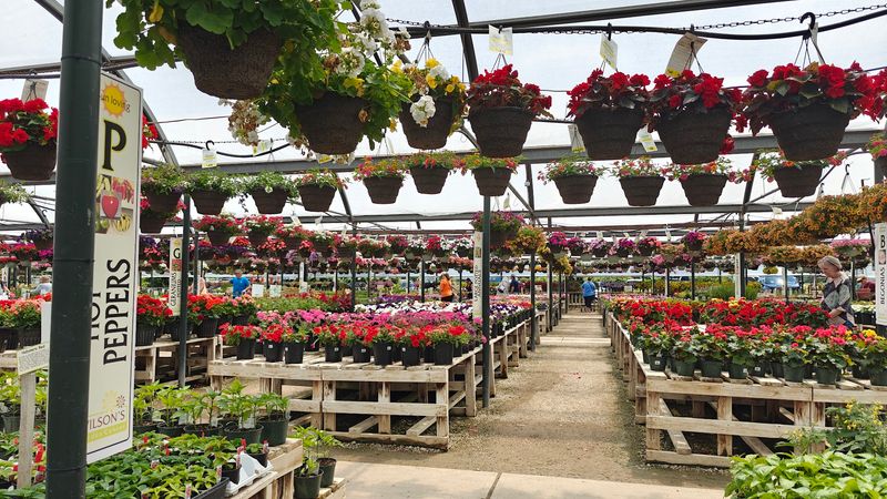 Wilson's Garden Center