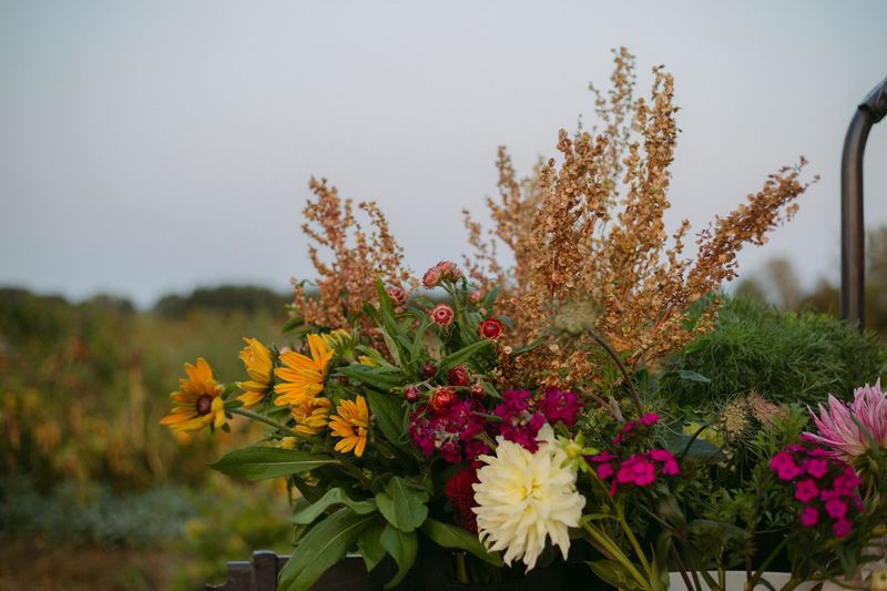 Cold Frame Farm