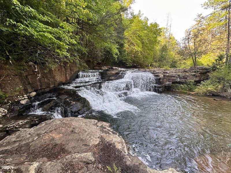 Dismal Falls