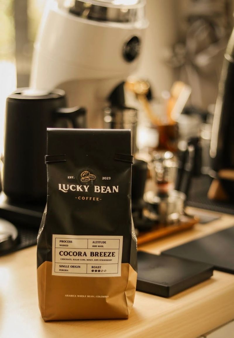 Lucky Bean, Erie, Erie County