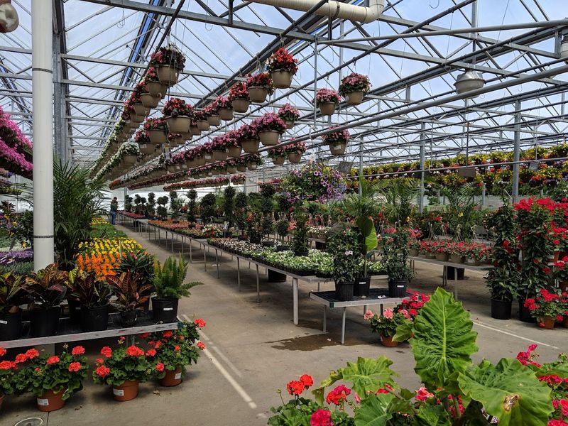 Strader's Garden Center (Riverside Drive)