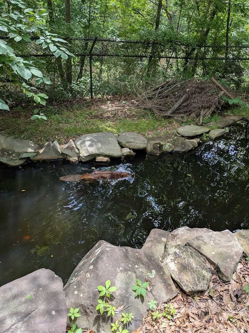 Chattahoochee Nature Center