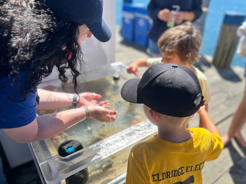Maria Mitchell Aquarium