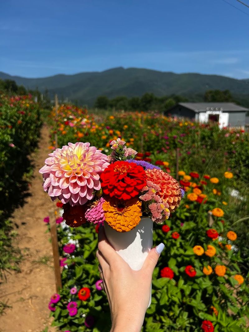 Pinnacle Farms