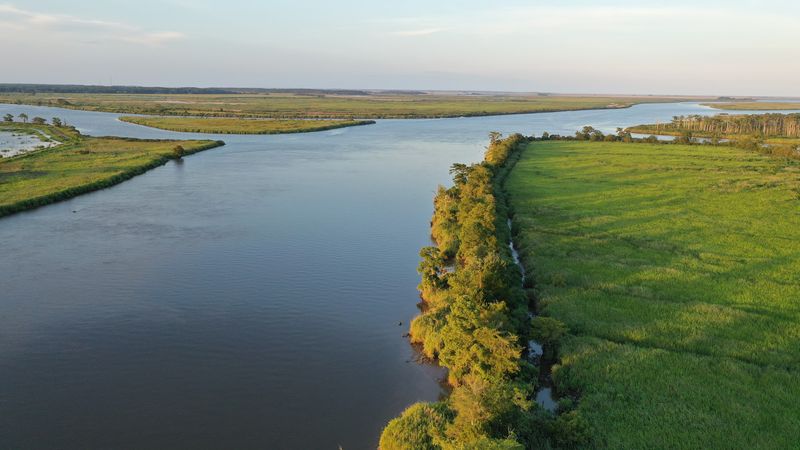 Altamaha River