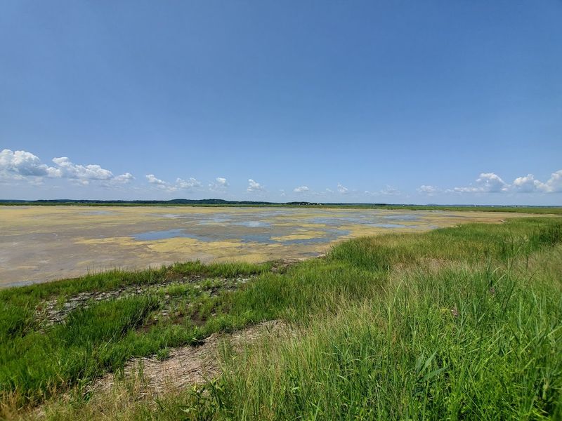 Parker River National Wildlife Refuge