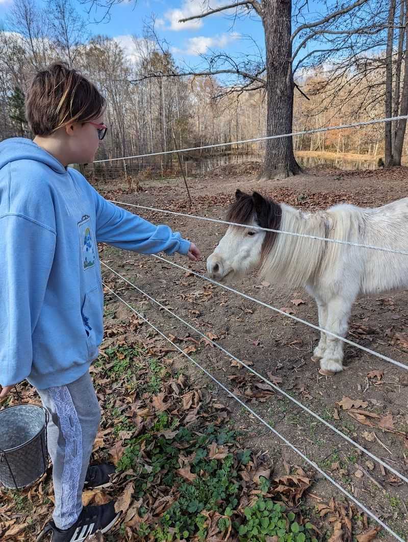 Flat Creek Farm Petting Zoo (Amelia Court House)