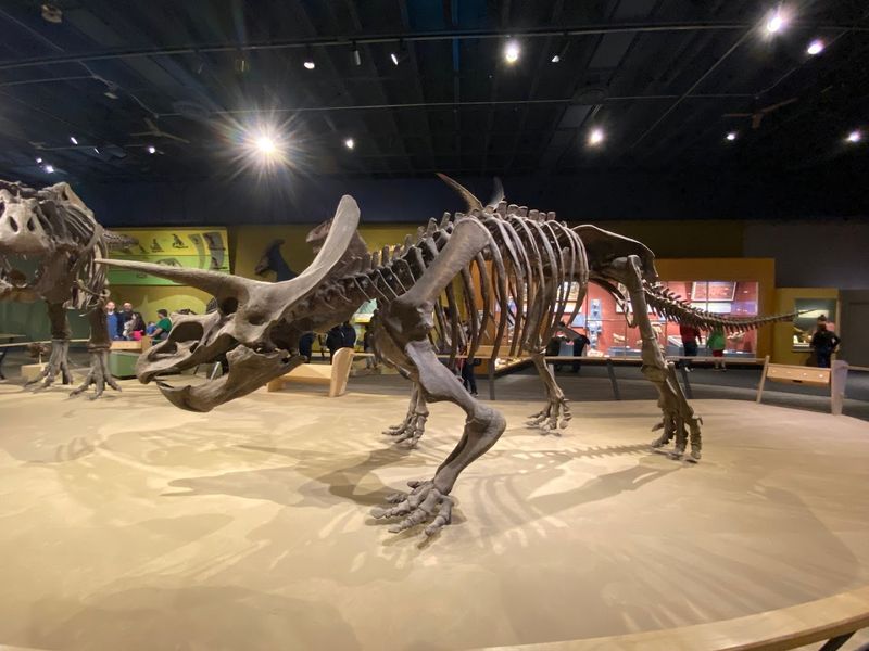 Cleveland Museum of Natural History
