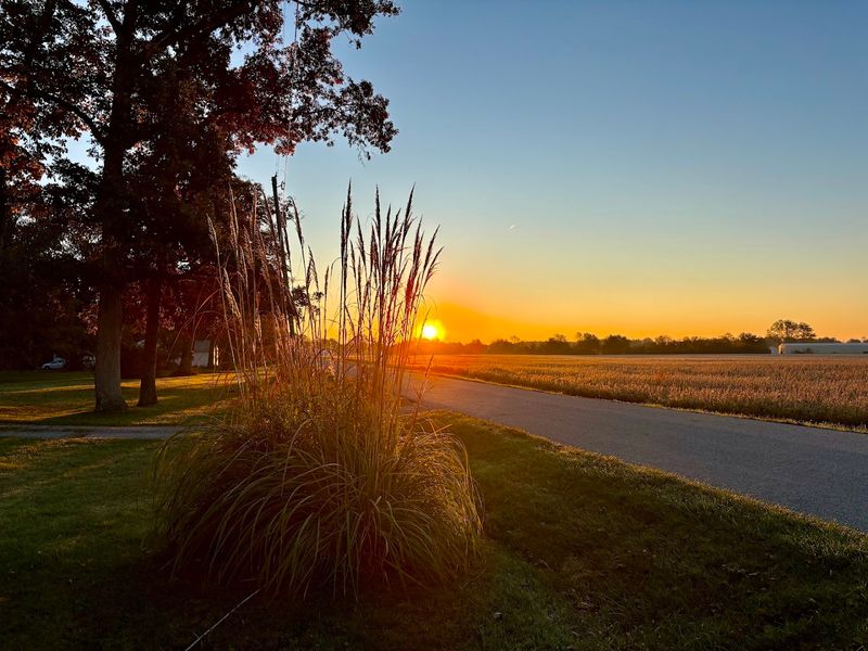Little Miami Scenic Trail - Xenia, Greene County
