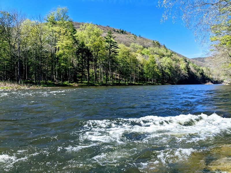 Loyalsock State Forest