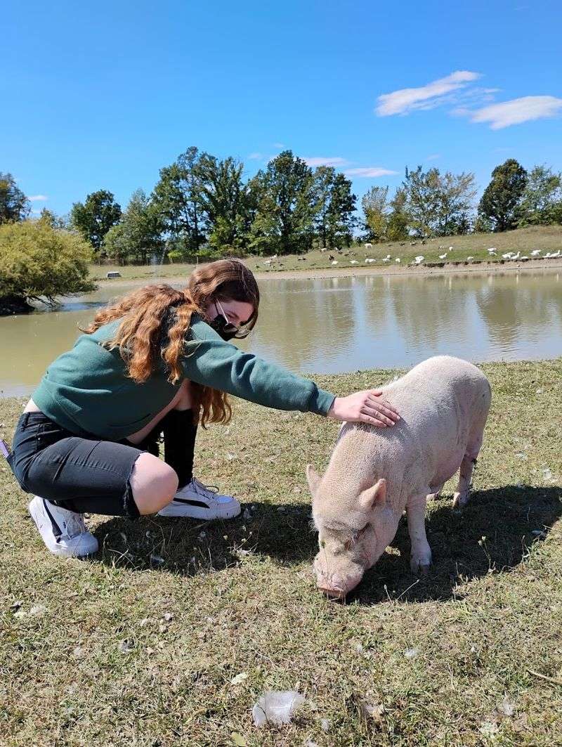 Sunrise Sanctuary (Marysville)