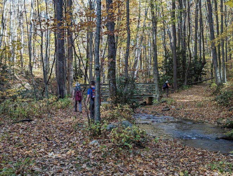 The Hiking Trails That Replace Crowded Attractions