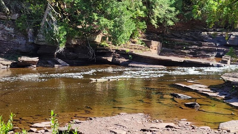 Wetlands And Rivers Create Prime Wildlife Habitat