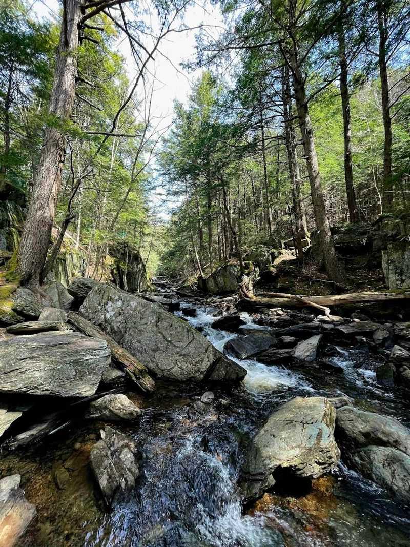 Windsor Jambs Spring - Windsor