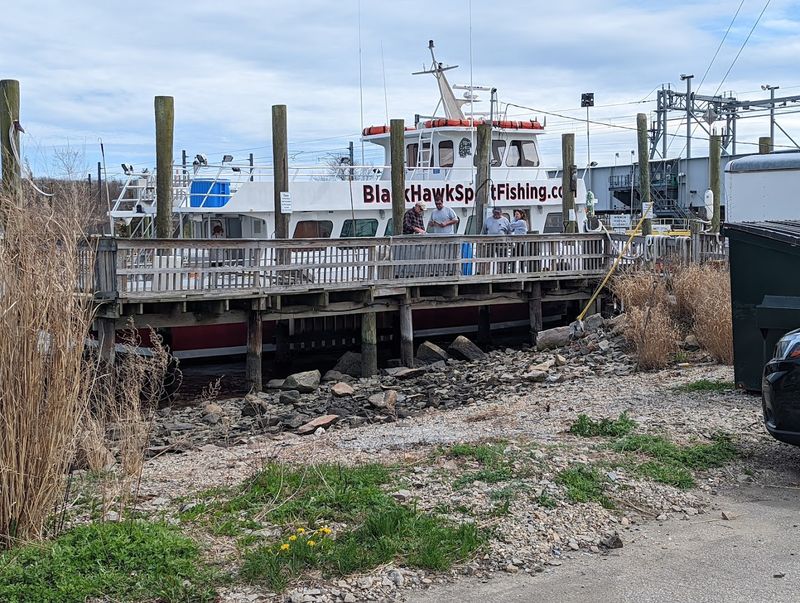 Niantic Bay Boardwalk Festival (Niantic)
