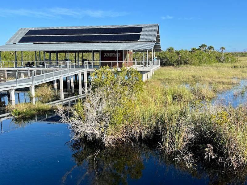 Fakahatchee Strand Preserve State Park Boardwalk Trail 