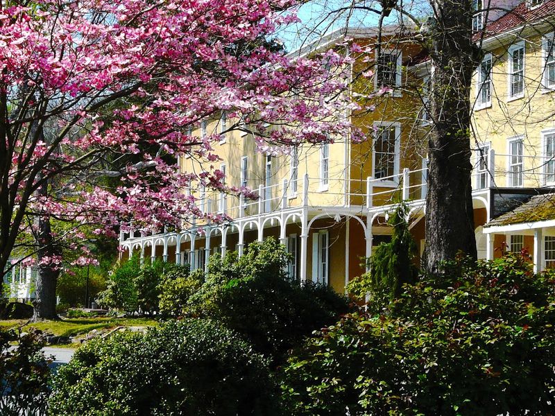 Yellow Springs - Chester Springs
