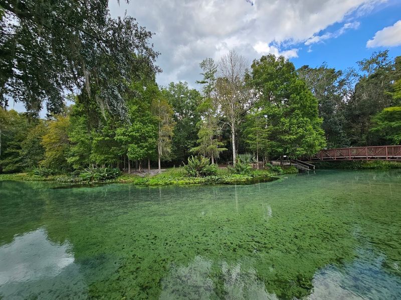 Florida's Natural Lazy River Hidden Near Orlando