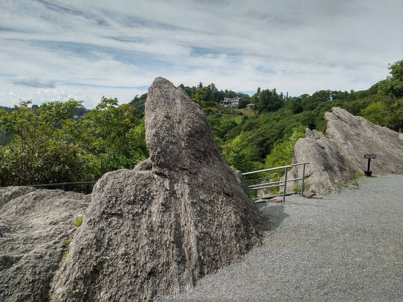 The Blowing Rock