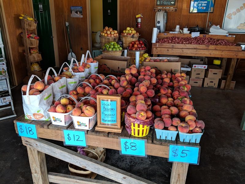 A roadside stop that feels like summer