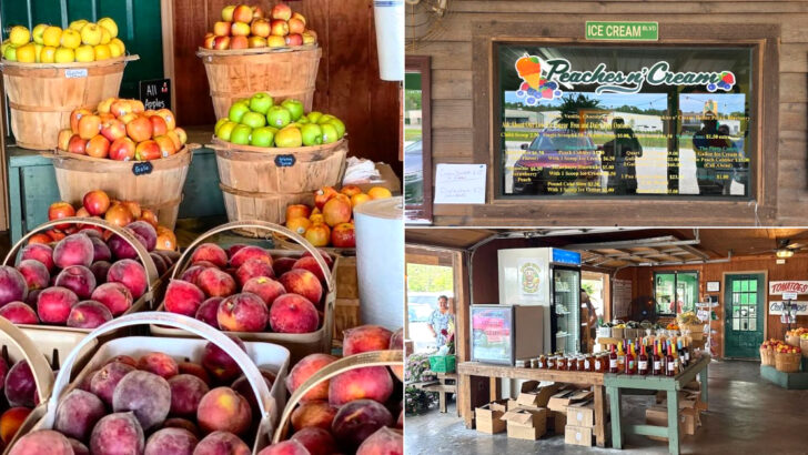 One North Carolina Roadside Peach Stand Is Worth The Detour For Fresh Fruit And Ice Cream