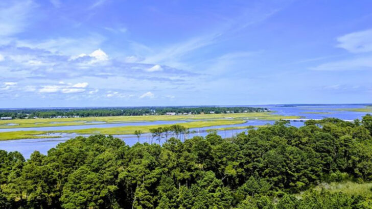 One Of Virginia&rsquo;s Most Magical Coastal Escapes Features Wild Ponies And Scenic Marshes