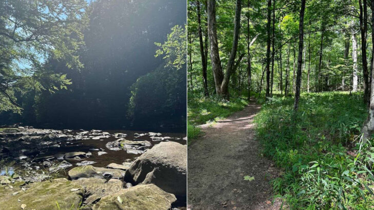 One Underrated Pennsylvania Preserve Feels Like a Secret Woodland Escape