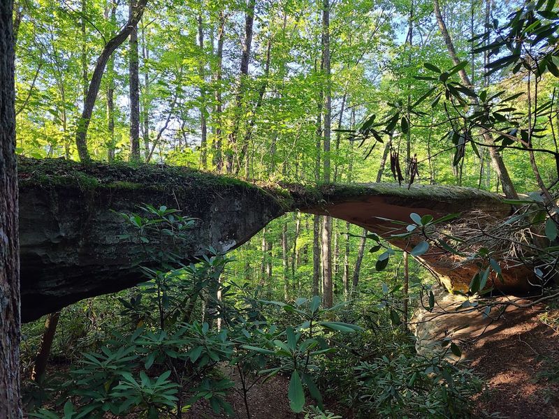 A Hidden Gem in Tennessee's Upper Cumberland