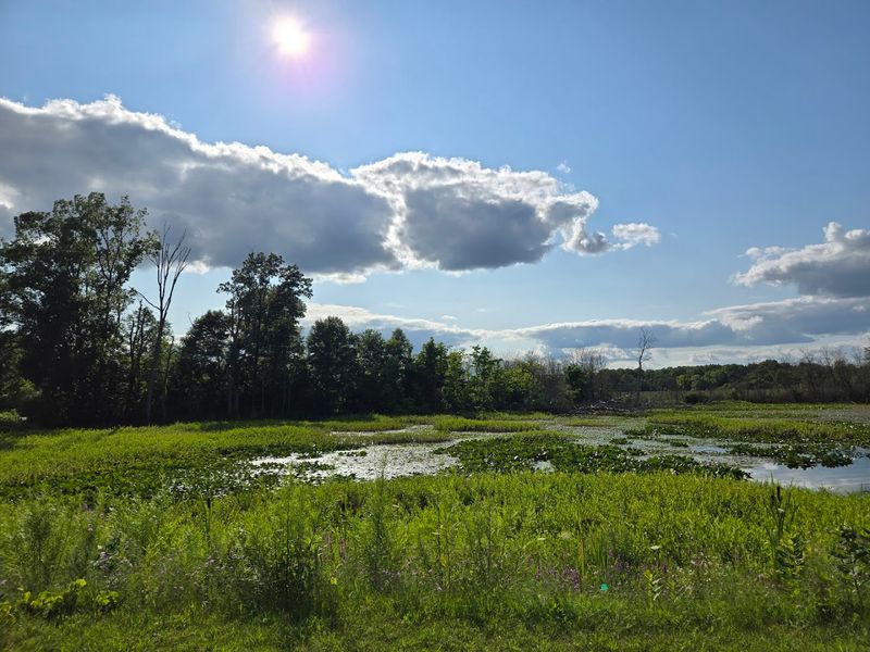 Fort Custer Recreation Area, Augusta, Kalamazoo County