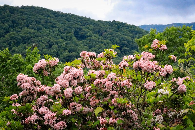 Great Smoky Mountains to Cherokee Scenic Route, Cherokee, Swain County